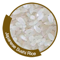 Japanese Sushi Rice